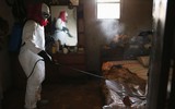 [ẢNH] Trước virus Corona, những dịch bệnh nào từng khiến WHO phải ban bố tình trạng khẩn cấp y tế toàn cầu?